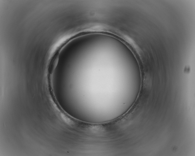 X0000091511464200708171146