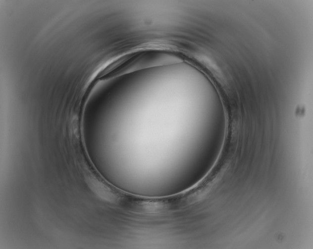X0000091511465200708171146