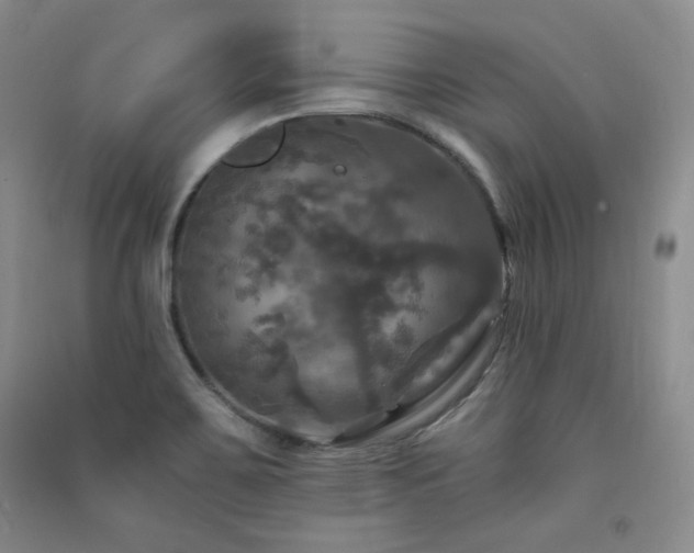 X0000091511467200708171145