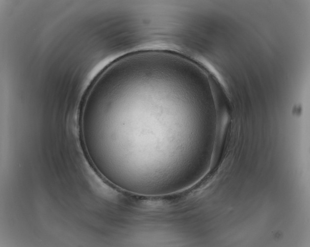 X0000091511468200708171145