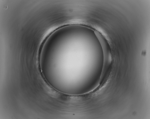 X0000091511469200708171145