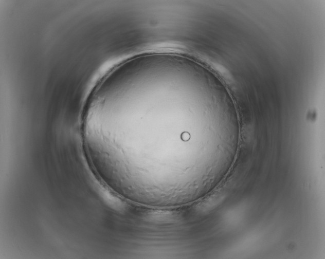 X0000091511470200708171145