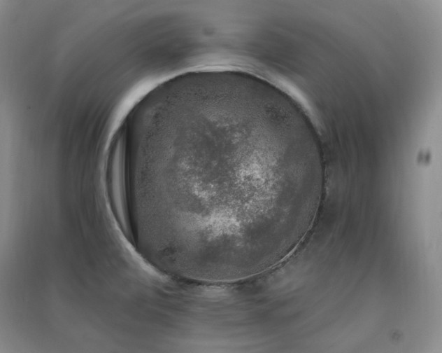 X0000091511472200708171145
