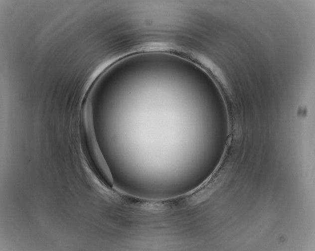 X0000091511473200708171145
