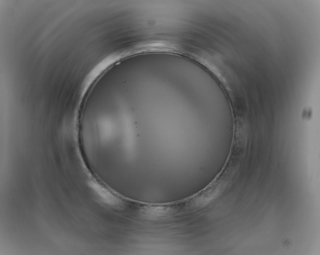 X0000091511474200708171145