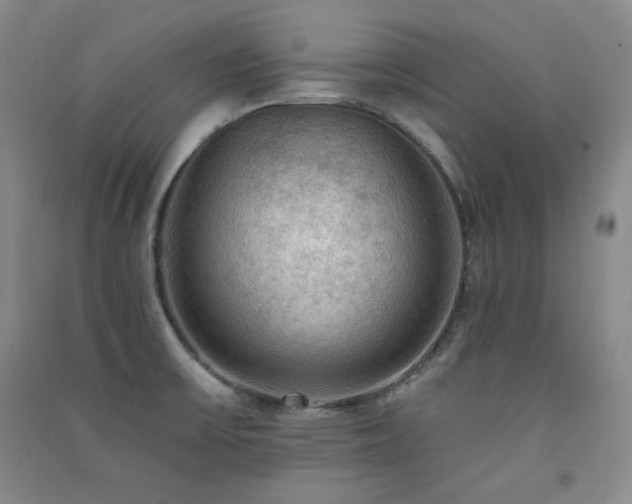 X0000091511475200708171145