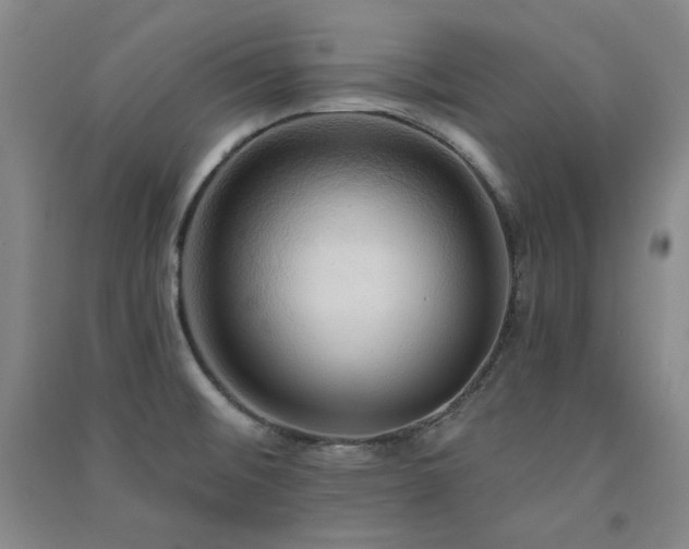 X0000091511476200708171145