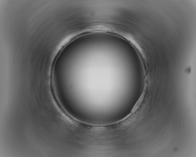 X0000091511477200708171145