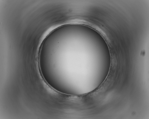 X0000091511478200708171145