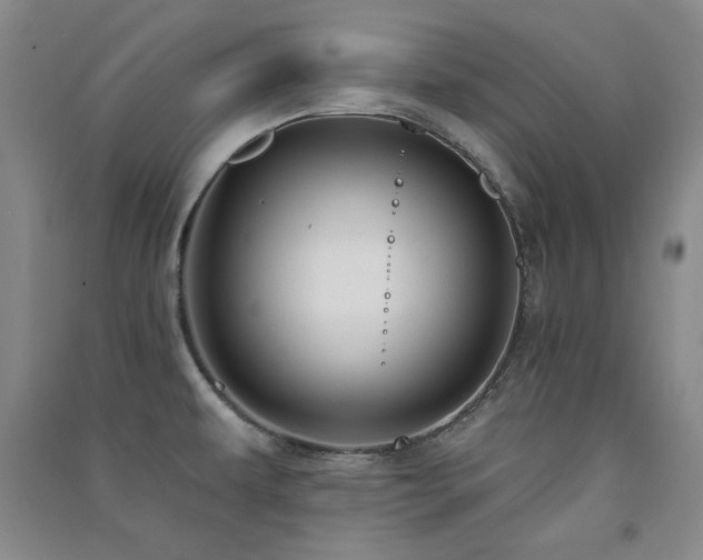 X0000091511479200708171145