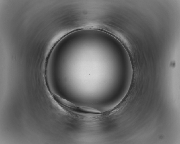 X0000091511480200708171145