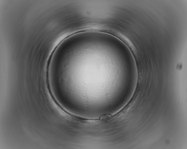 X0000091511483200708171145