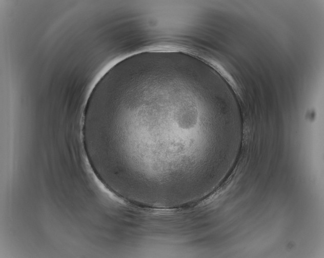 X0000091511484200708171145