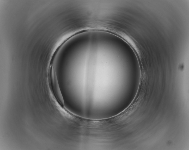 X0000091511485200708171145