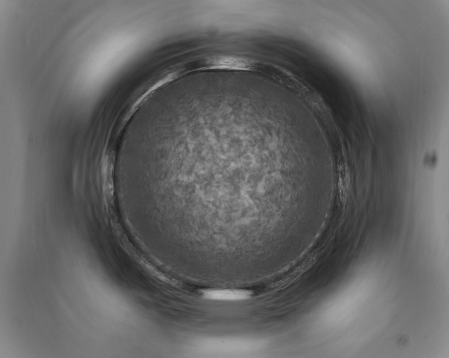 X0000091511487200708171145