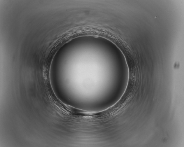 X0000091511490200708171144