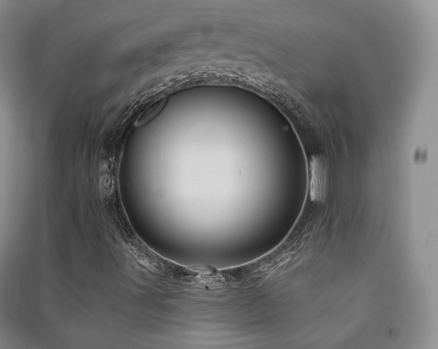 X0000091511491200708171144