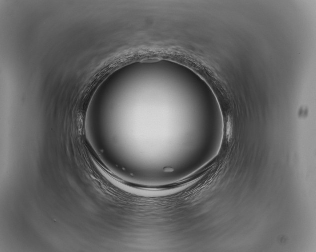 X0000091511492200708171144