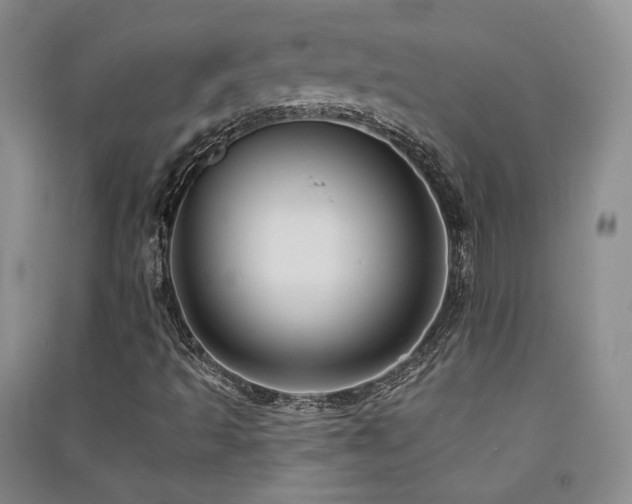 X0000091511493200708171144