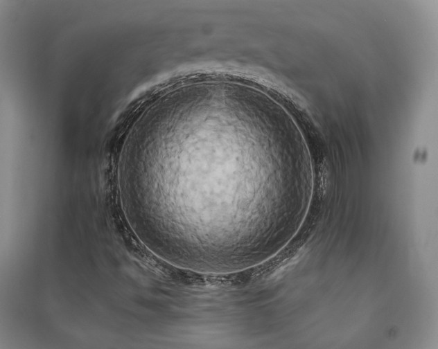 X0000091511494200708171145