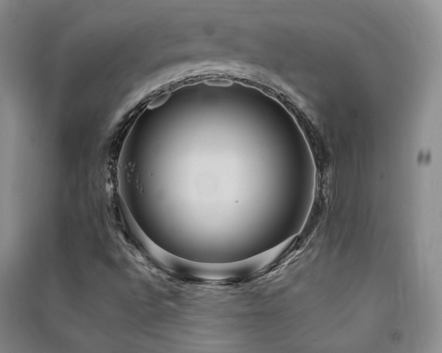 X0000091511496200708171145