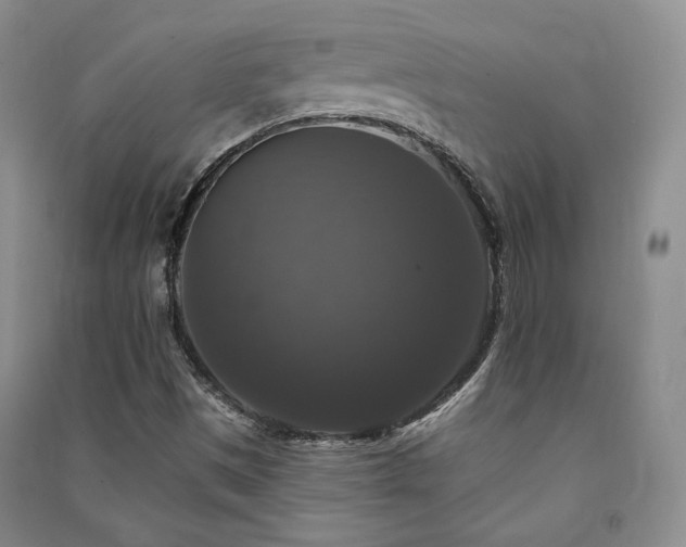 X0000091511497200708171145