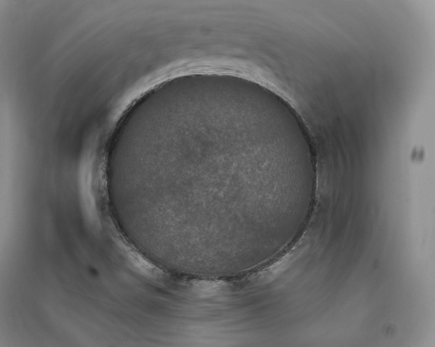 X0000091511498200708171145