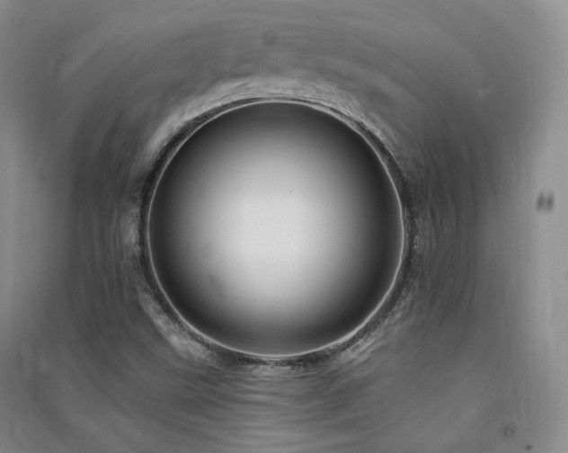 X0000091511499200708171145