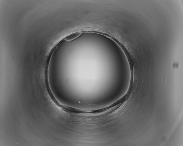X0000091511500200708171145