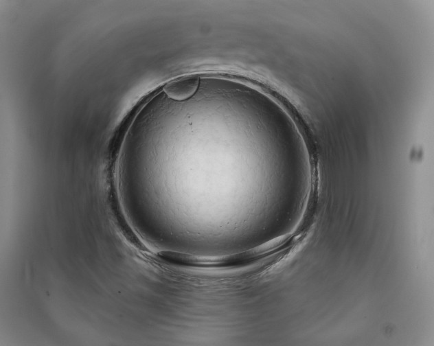 X0000091511501200708171145