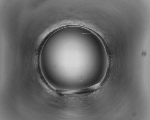 X0000091511503200708171145