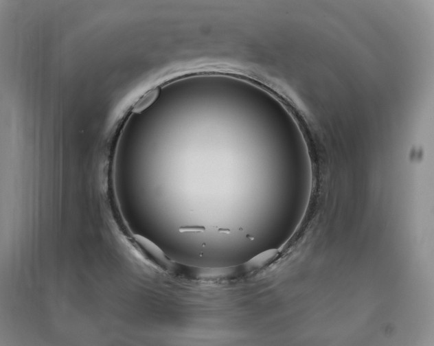 X0000091511504200708171145