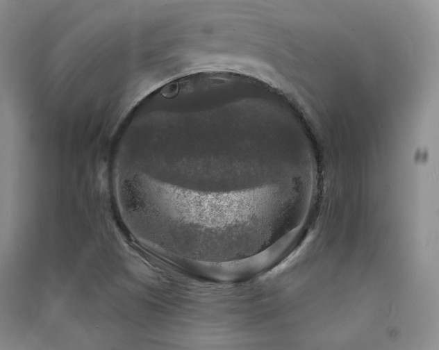 X0000091511505200708171145