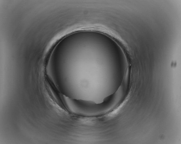 X0000091511506200708171145