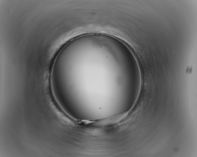 X0000091511507200708171145
