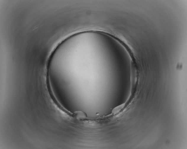 X0000091511508200708171145