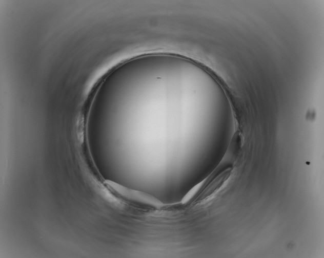 X0000091511510200708171145