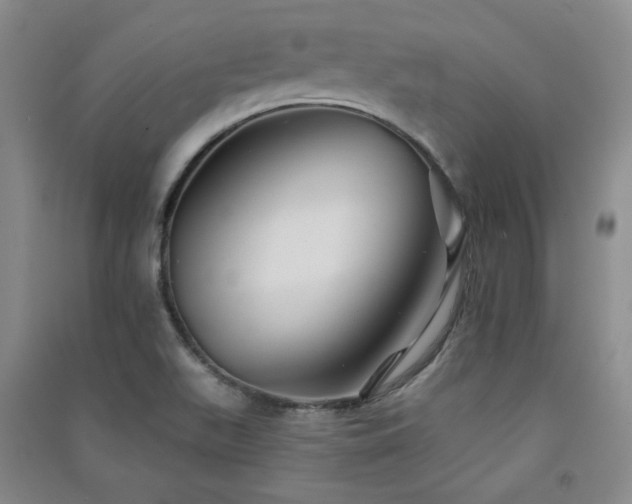 X0000091511511200708171145