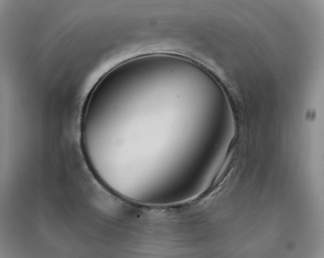 X0000091511512200708171145