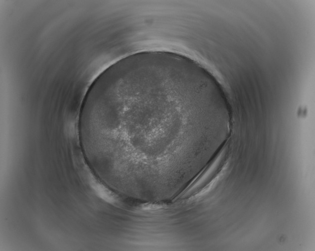 X0000091511513200708171145