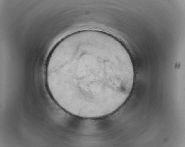 X0000091511514200708171145