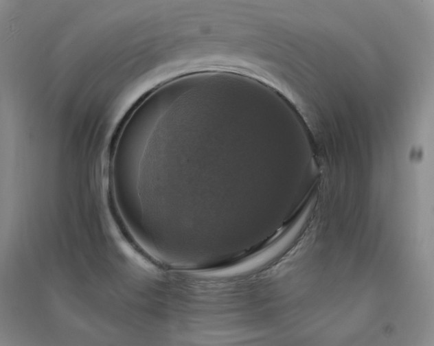 X0000091511515200708171145