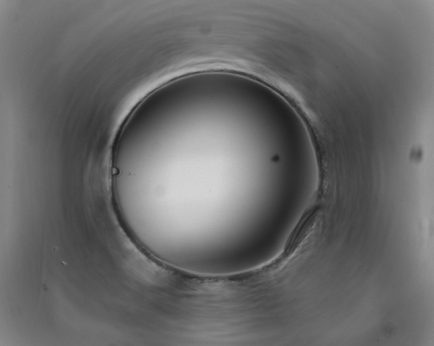 X0000091511516200708171145