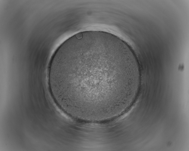 X0000091511517200708171145