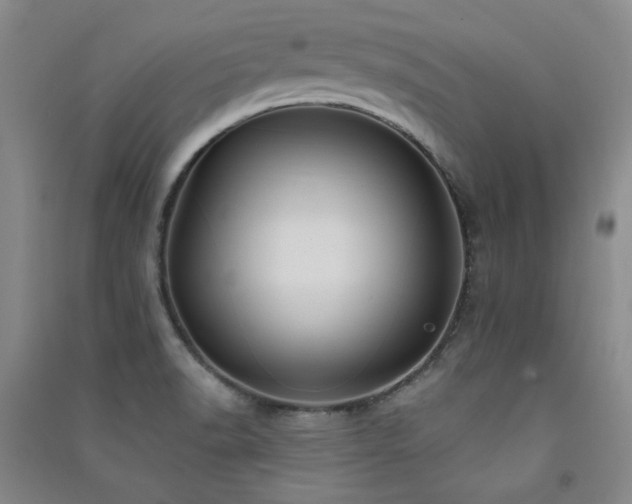 X0000091511518200708171145
