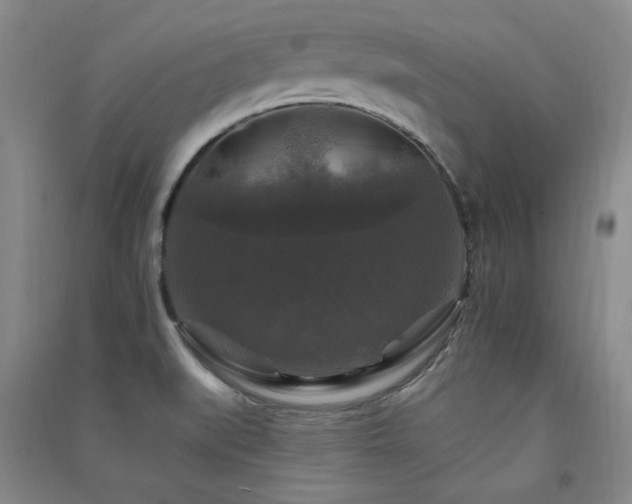 X0000091511519200708171145