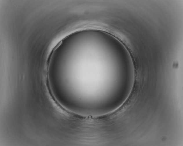 X0000091511520200708171145