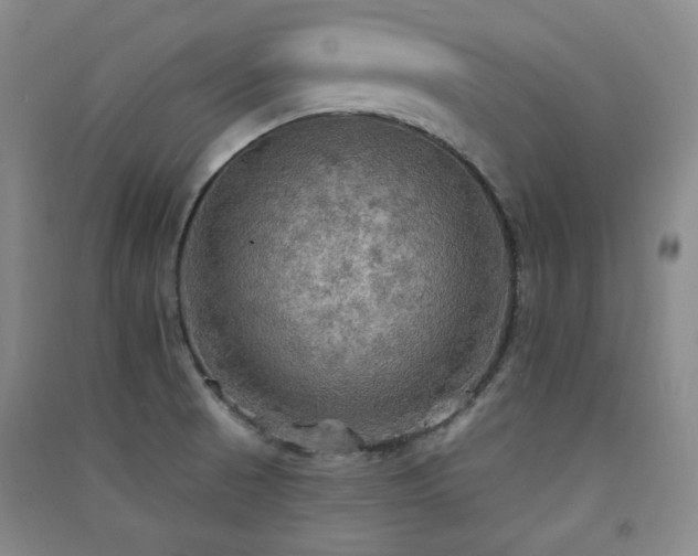 X0000091511521200708171145