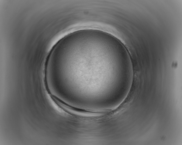 X0000091511523200708171145