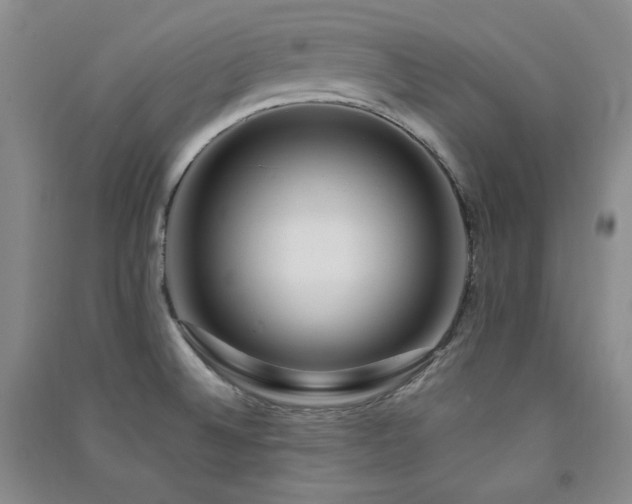 X0000091511524200708171145